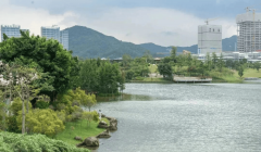 受一对一专业办事